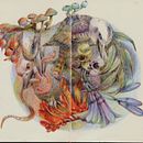 My project in Surrealist Illustration Inspired by Nature course. Un progetto di Disegno di AKO LAMBLE - 15.04.2021