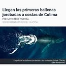 BALLENAS JOROBADAS DRONE. Un projet de Cinéma, Cinéma, vidéo et télévision , et Photographie documentaire de Jorge Sánchez - 16.04.2021