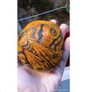 Primer tatuaje en naranja. Curso de Polilla . animație 2D, Arte plastice, Desen, Design și Design tatuaj de Magdalena Gualco - 04.10.2021