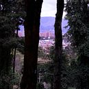 Parque Lindaraja - Bogota D.C. - Reportaje con el verde!. Un proyecto de Comunicación, Creatividad y Fotografía de Jimena Cardenas - 25.04.2021