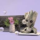 Escaneado casero 3D Ein Projekt aus dem Bereich 3D von Miriam Vinent Escandell - 17.04.2021