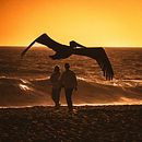 PICs  . Fotografie digitală de Cesar Villalba - 01.17.2025