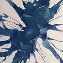 Cyanotype on paper. Un progetto di Creatività di Ελένη Γαλάνη - 18.04.2021