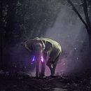 Mattepainting, Dando Magia ao Elefante de Pixabay.. Un proyecto de Fotomontaje y Matte Painting de Rafael Lanfredi - 19.04.2021