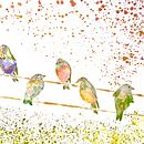 Watercolour birds. Un progetto di Pittura ad acquerello di sallymacfarlane - 19.04.2021