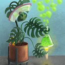 Esas plantas peligrosas. Un projet de Illustration numérique de Irina Konop - 20.08.2020