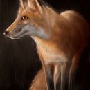 Some British Wildlife. Een project van  Digitaal schilderij van Marc Davey - 07.11.2020