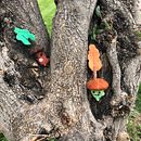 Art Toy . To, e Art projeto de pledesma55 - 20.04.2021