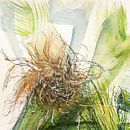 Drawing from nature. Drawing, Naturalistic Illustration, and Watercolor Painting project by Marcela Angel - 04.21.2021