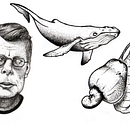 Meu projeto do curso: Desenho de tatuagem blackwork Ein Projekt aus dem Bereich Traditionelle Illustration, Botanische Illustration, Zeichnung und Bleistiftzeichnung von Daniel Chaves - 26.04.2021