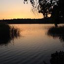 Saturno Buttò artist documentary. Un projet de Vidéo de Veronica Nappi - 23.04.2021