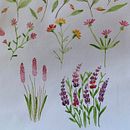 Practicas en Acuarela. Un projet de St, lisme , et Aquarelle de María Amelia Amelia Fermín - 23.04.2021