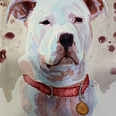 My first attempt at watercolor. Ein Projekt aus dem Bereich Aquarellmalerei von Nicholas Maciolek - 23.12.2020