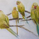 My project in Artistic Watercolor Techniques for Illustrating Birds course. Painting project by scotpam - 04.23.2021