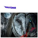 Mistério. Projekt z dziedziny Fotografia użytkownika António Silveira - 22.04.2021