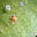 Mi Proyecto del curso: Fotografía para principiantes: descubre tu cámara digital. Un progetto di Fotografia digitale di ANTONIO FARIAS URRUTIA - 24.04.2021