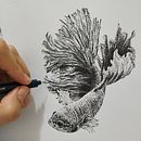 Ilustrando la naturaleza. Un progetto di Illustrazione tradizionale e Sketchbook di Carolina Correa - 24.04.2021
