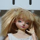 Mori girl, the ball-joited doll. Ein Projekt aus dem Bereich Art To von Danusia - 24.04.2021