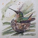 Home sweet home of a hummingbird Ein Projekt aus dem Bereich Aquarellmalerei von Maria Mazariegos - 25.04.2021