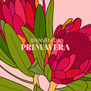 Compilado de Pañuelos 2020 | Proyecto personal. Accessor, Design, Printing, Traditional illustration, Botanical Illustration, and Vector Illustration project by Pola Martinez - 04.25.2021