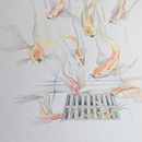 My project in Surrealist Illustration Inspired by Nature course. Un progetto di Disegno di maria_koutsoubou - 25.04.2021