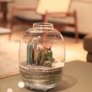 Colección capsula Sechura . Un proyecto de Paisajismo de Fotosíntesis Green Art - 26.04.2021