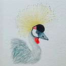 Mi Proyecto del curso: Ilustración naturalista de aves con acuarela. Un projet de Aquarelle de cmarceh_art - 26.04.2021
