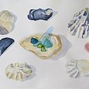My Final Project! Illustrating Nature: A Creative Exploration. Een project van Traditionele illustratie van Catherine Salmon - 27.04.2021