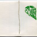 cuentos que sucedieron . Pencil Drawing project by Carmen Fernandez de Ullivarri - 04.29.2021