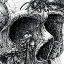 Spheksophobia. Un projet de Illustration à l'encre de Raqmu Art - 02.05.2021