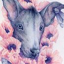 My project in Surrealist Illustration Inspired by Nature course. Artistic Drawing, and Traditional illustration project by Siri Jachlin - 05.09.2021