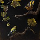 Goldfinch, Robin and Autumn Leaves. Un proyecto de Pintura al óleo, Pintura, Ilustración naturalista				 y Bellas Artes de Sarah Margaret Gibson - 04.05.2021