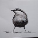 My project in Artistic Watercolor Techniques for Illustrating Birds course. Un projet de Illustration traditionnelle de Veronika - 04.05.2021