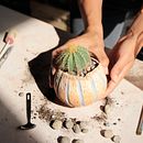 Colección Allpa. Un proyecto de Paisajismo de Fotosíntesis Green Art - 05.05.2021
