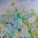 My second project ~Negative Watercolor Painting for Botanical Illustration . Un progetto di Illustrazione botanica e Pittura ad acquerello di mardathana - 06.05.2021