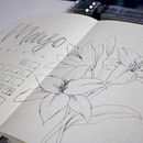 Mi Proyecto del curso: Introducción al bullet journal ilustrado . DIY, Dan Huruf proyek oleh Diana C Vargas G - 05.08.2021