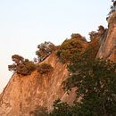 Mi proyecto de Matte Painting/ Mundo fantastico. Un proyecto de Diseño e Ilustración tradicional de lizeth rios - 02.05.2021