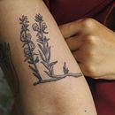 Tatuagens Botânicas @umkiriri . % Adalício Neto tarafından hazırlanan Dövme Tasarımı, Geleneksel illüstras, Ve on projesi - 05.12.2021