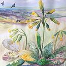 Cowslips on North Downs. Un progetto di Illustrazione tradizionale, Disegno, Pittura ad acquerello, Illustrazione con inchiostro e Illustrazione naturalistica di louisedoveart - 14.05.2021