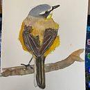 My project in Artistic Watercolor Techniques for Illustrating Birds course. Traditional illustration, Watercolor Painting, Realistic Drawing, Naturalistic Illustration, and Sketching project by mtrim - 05.12.2021
