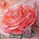 Not only Watercolor . % Anna Kappler tarafından hazırlanan Geleneksel illüstras, Ve on projesi - 05.15.2021