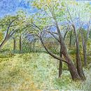 Paisajes naturales Ein Projekt aus dem Bereich Traditionelle Illustration von Aldo - 15.05.2021