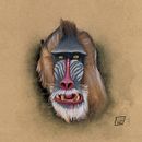 Meu projeto do curso: Ilustração naturalista de animais com Procreate Ein Projekt aus dem Bereich Traditionelle Illustration, Digitale Illustration, Realistische Zeichnung, Naturalistische Illustration, Kunstleitung, Verlagsdesign, Beleuchtungsdesign, Kreativität und Zeichnung von Rafael Tadeu Cardoso - 15.05.2021