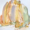 My project in Illustrating Nature: DESERT LIFE. Een project van Traditionele illustratie, Schilderij,  Tekening, Aquarelschilderen,  Illustratie met inkt y Naturalistische illustratie van zoeljones - 18.05.2021