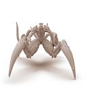 Mi Proyecto del curso: Escultura digital de criaturas fantásticas con ZBrush. Een project van 3D,  3D-modellering y 3D-karakterontwerp van sgonzalezw13 - 14.05.2021