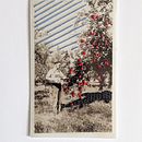 Grove. Embroider project by Ainsley Boyd - 05.15.2021