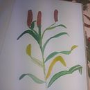 My project in Botanical Watercolor: Illustrate the Anatomy of Flowers course. Projekt z dziedziny Trad, c, jna ilustracja,  Sztuki piękne,  Malarstwo,  R, sunek, Malowanie akwarelą, R i sunek botaniczn użytkownika Pompilia Stefania Stoian - 20.05.2021