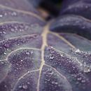 Naturaleza . Creativitate, Fotografie mobilă și Fotografie digitală de Lorea López - 05.24.2021