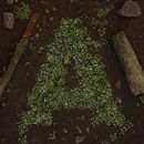 36 Days of Calm Ein Projekt aus dem Bereich Motion Graphics, 3D und Animation von Michael Tierney - 19.05.2021