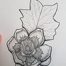 Flowers in pen. Drawing, and Botanical Illustration project by Stephen Tobin - 05.26.2021